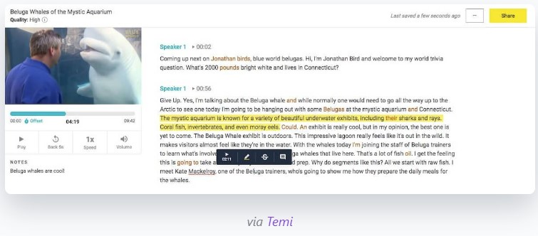 captura de pantalla de la transcripción de Temi