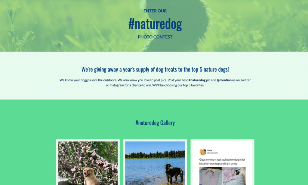 The-9-Best-Performing-ShortStack-Landing-Page-Templates-naturedog-hashtag-contest