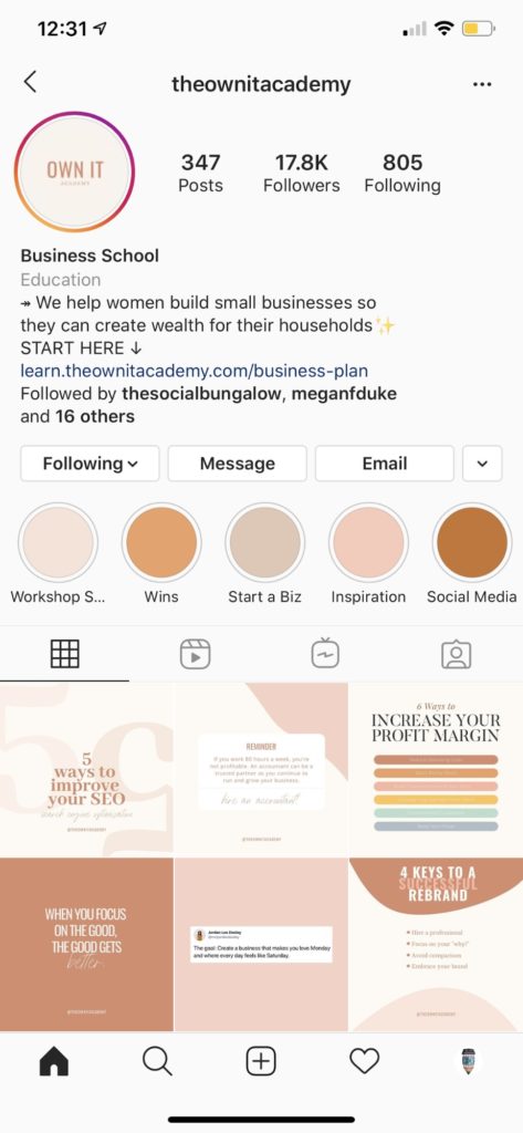 immagine dell'account Instagram aziendale di theownitacademy