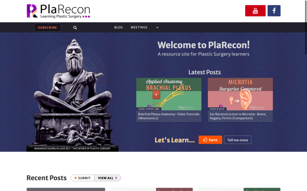 PlaRecon