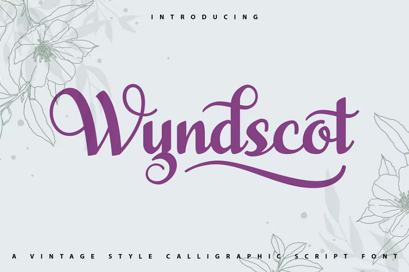 Wyndscot 复古书法字体