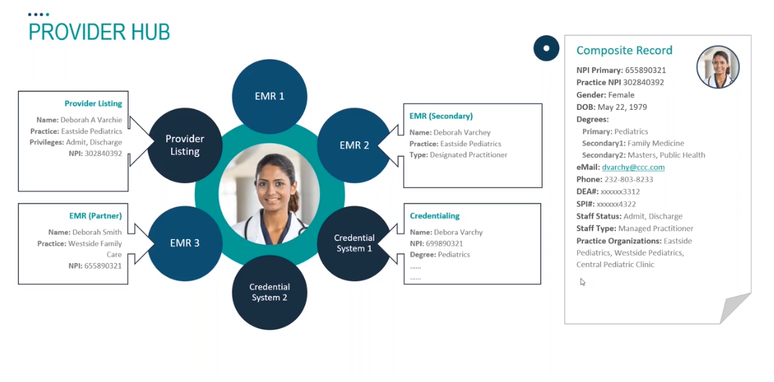 Screenshot von der MDM-Plattform Profisee, aufgenommen vom Autor