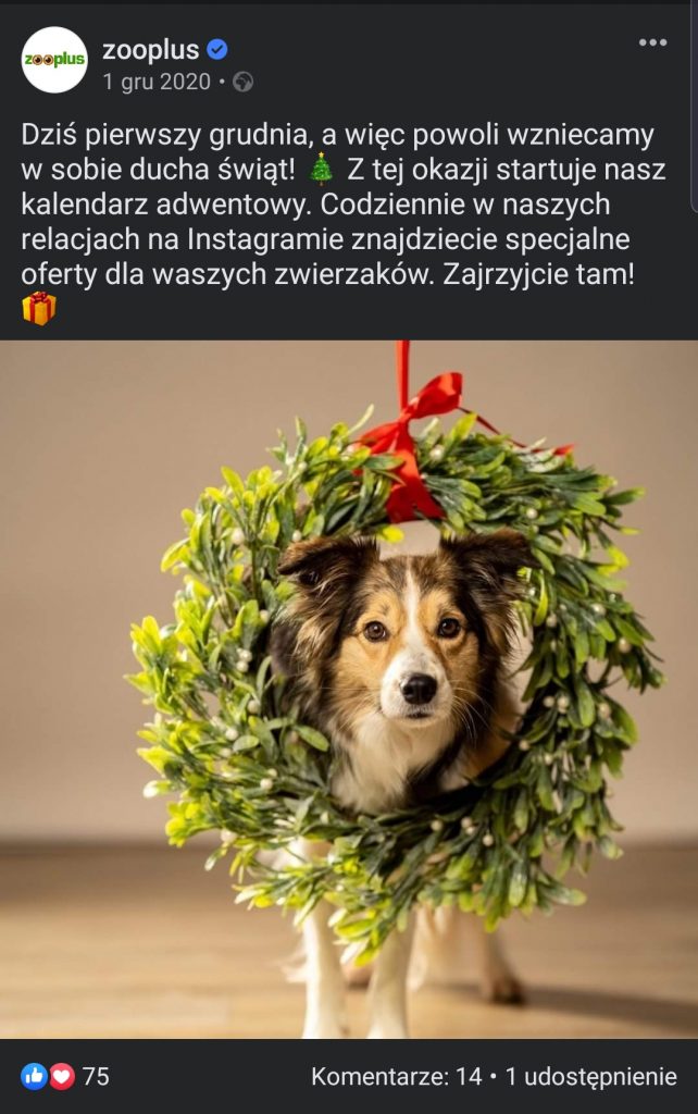 Opublikuj reklamę kalendarza promocji świątecznych Zooplus