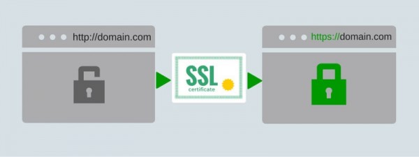 كيف تحصل على شهادة SSL