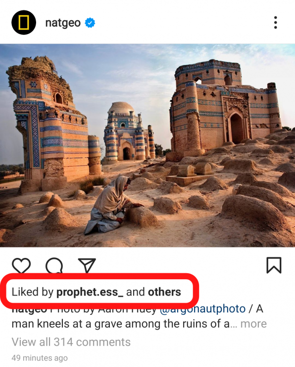 Gambar seperti apa tampilan suka tersembunyi di Instagram.