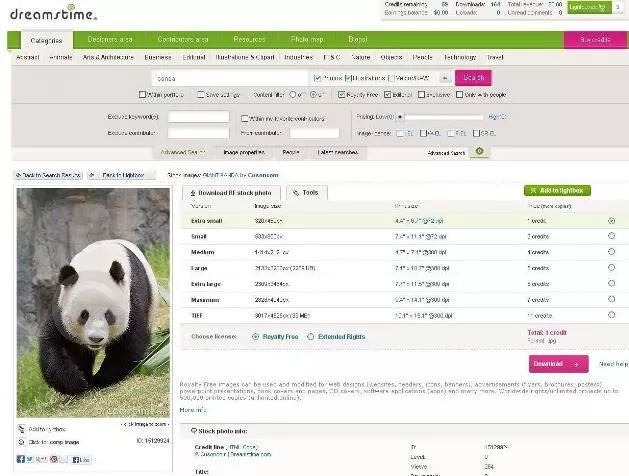 panda sur Dreamstime stock photo service