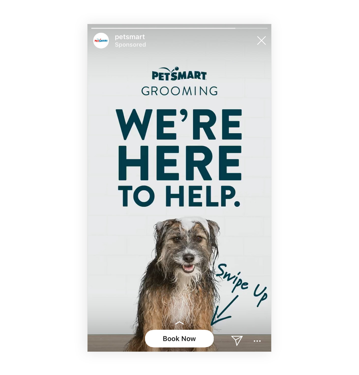 1554729186-petsmart-instagram.jpg