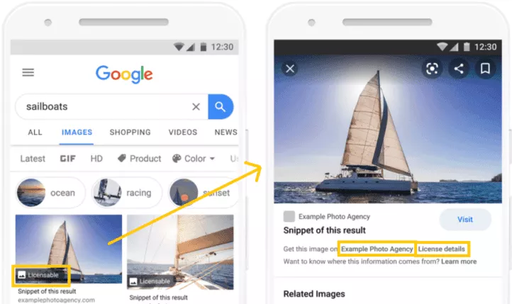 Informații despre licență afișate în rezultatele Google Images.