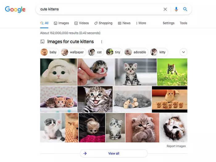 يعرض Google SERP صورًا لقطط لطيفة.