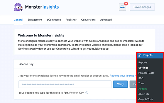 enter your monsterinsights license key