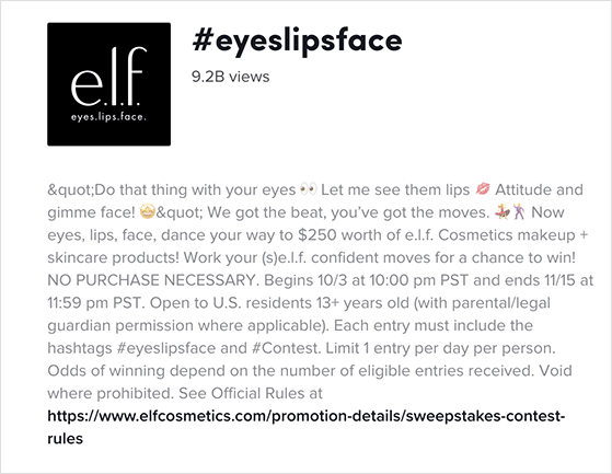 Elf cosmetics tiktok contest example