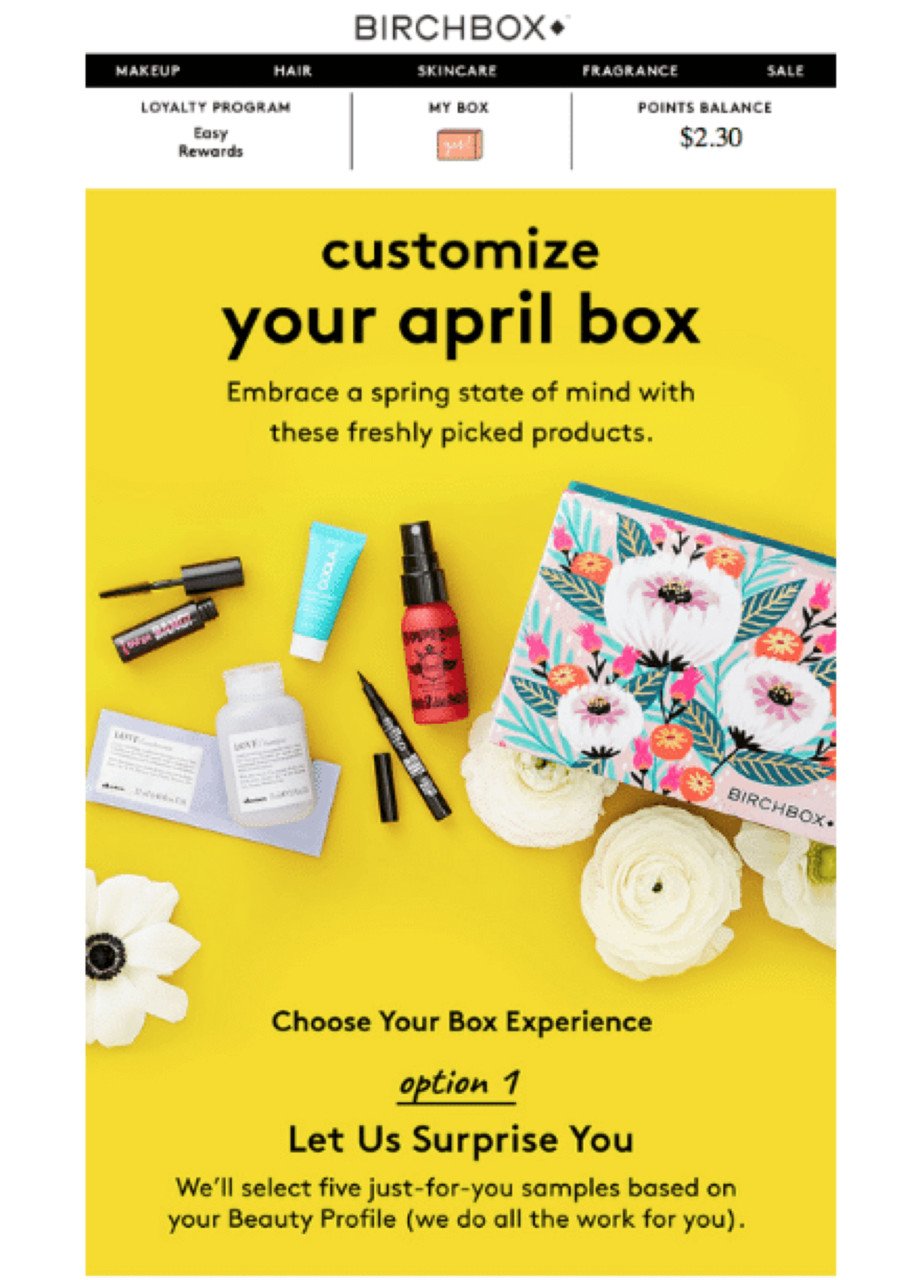 contoh kampanye pemasaran email masuk birchbox