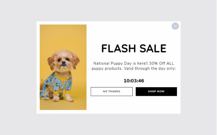 Popup de contagem regressiva do Dia Nacional do Filhote de cachorro