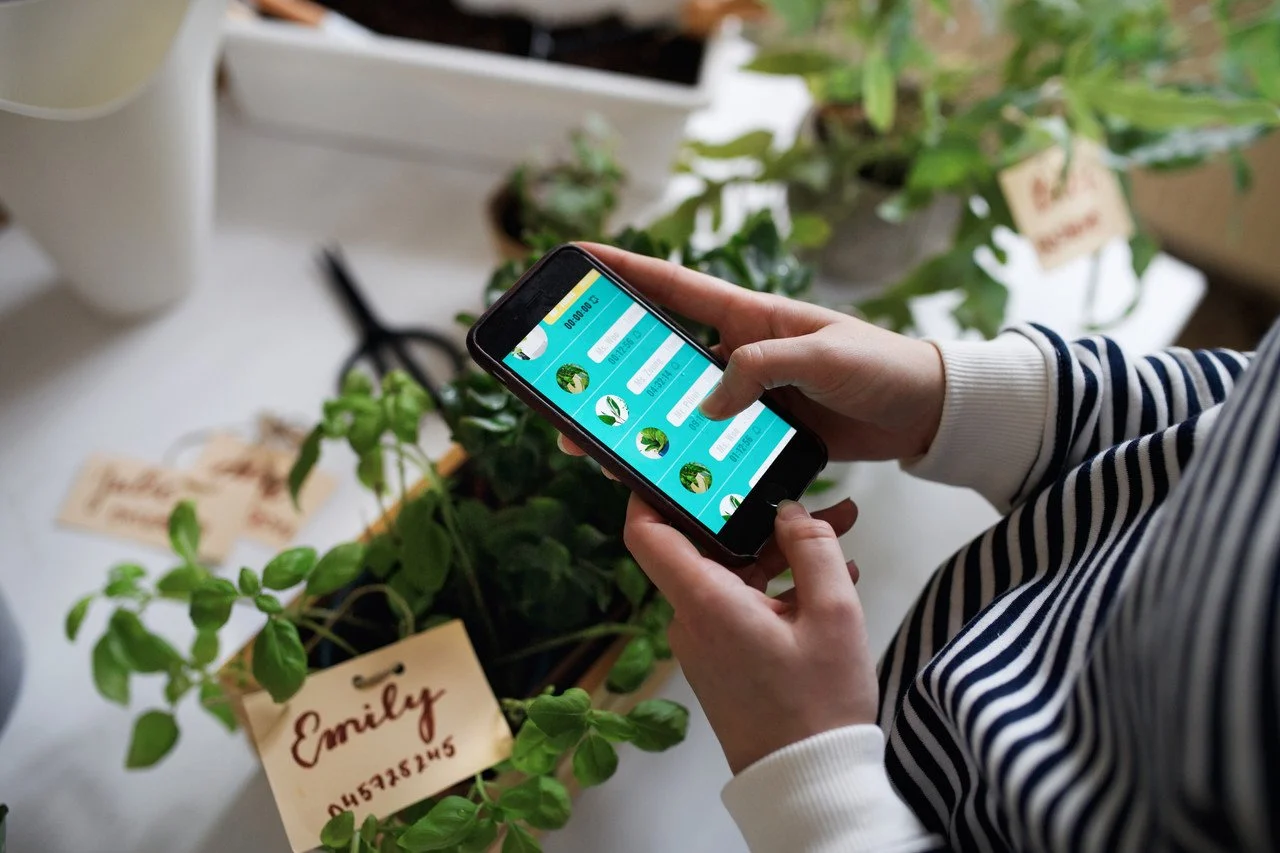 mujer con teléfono inteligente comprando un artículo de envío directo