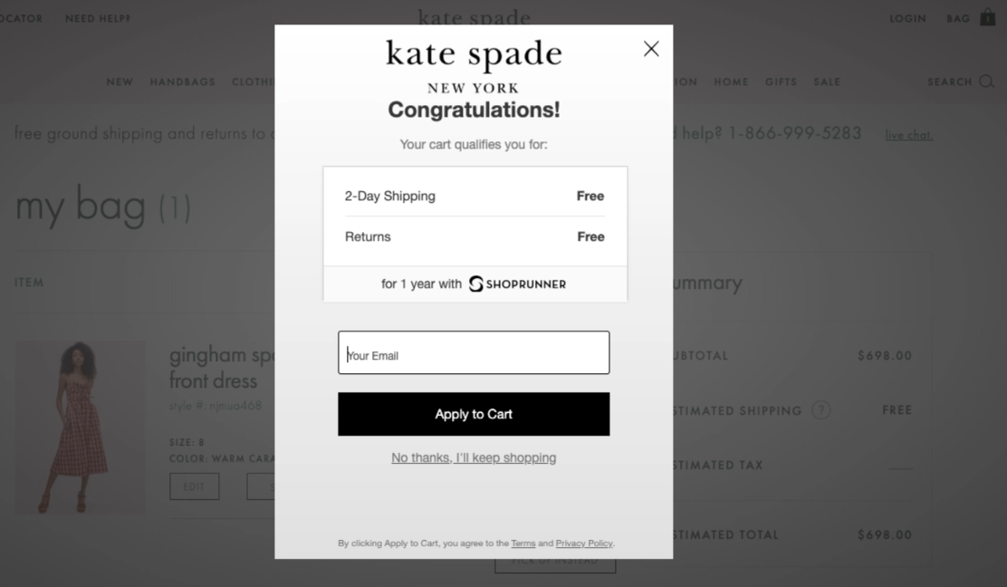 Kate Spade 免费送货弹出窗口