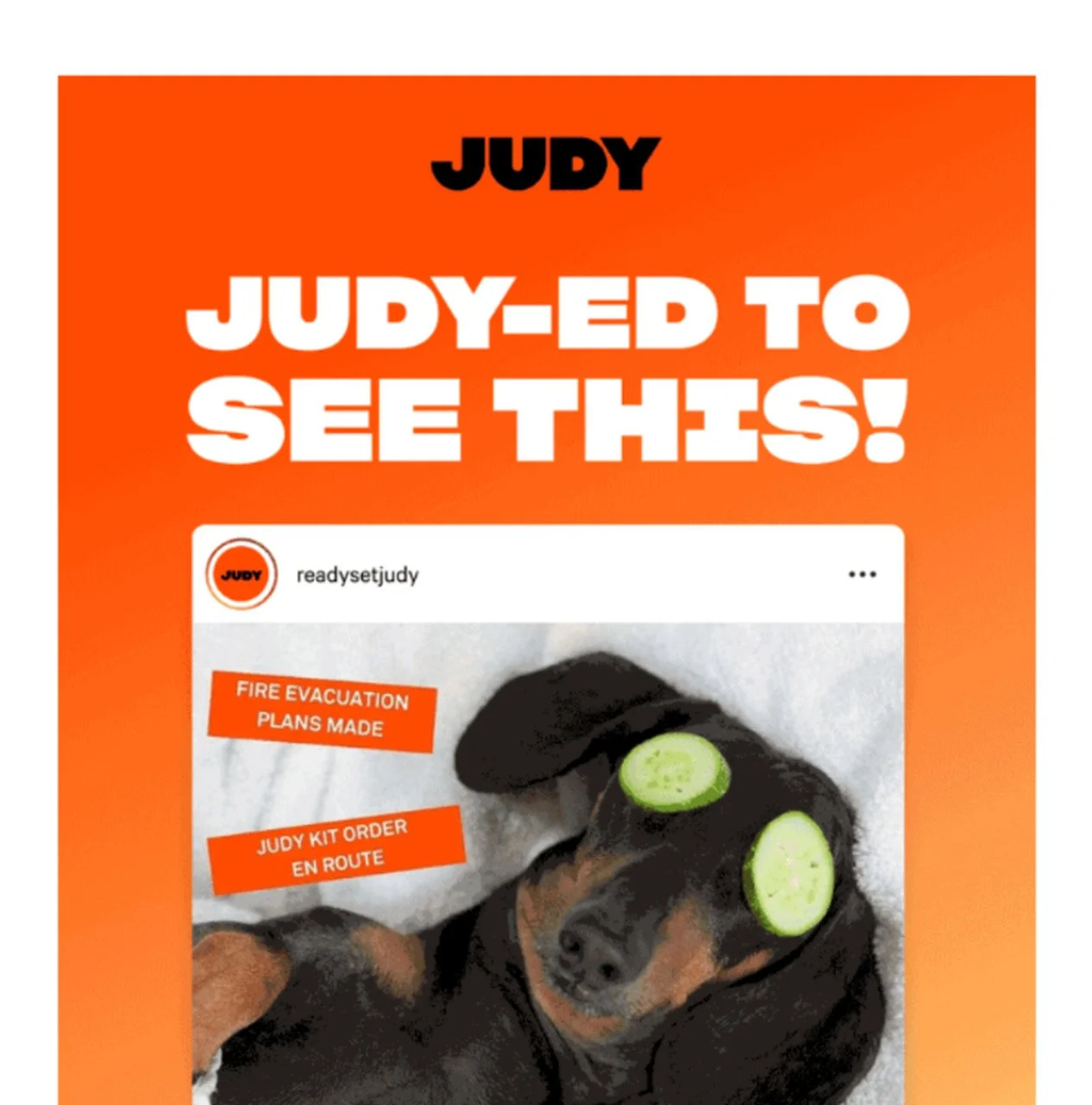 Esempio di e-mail divertente di Judy