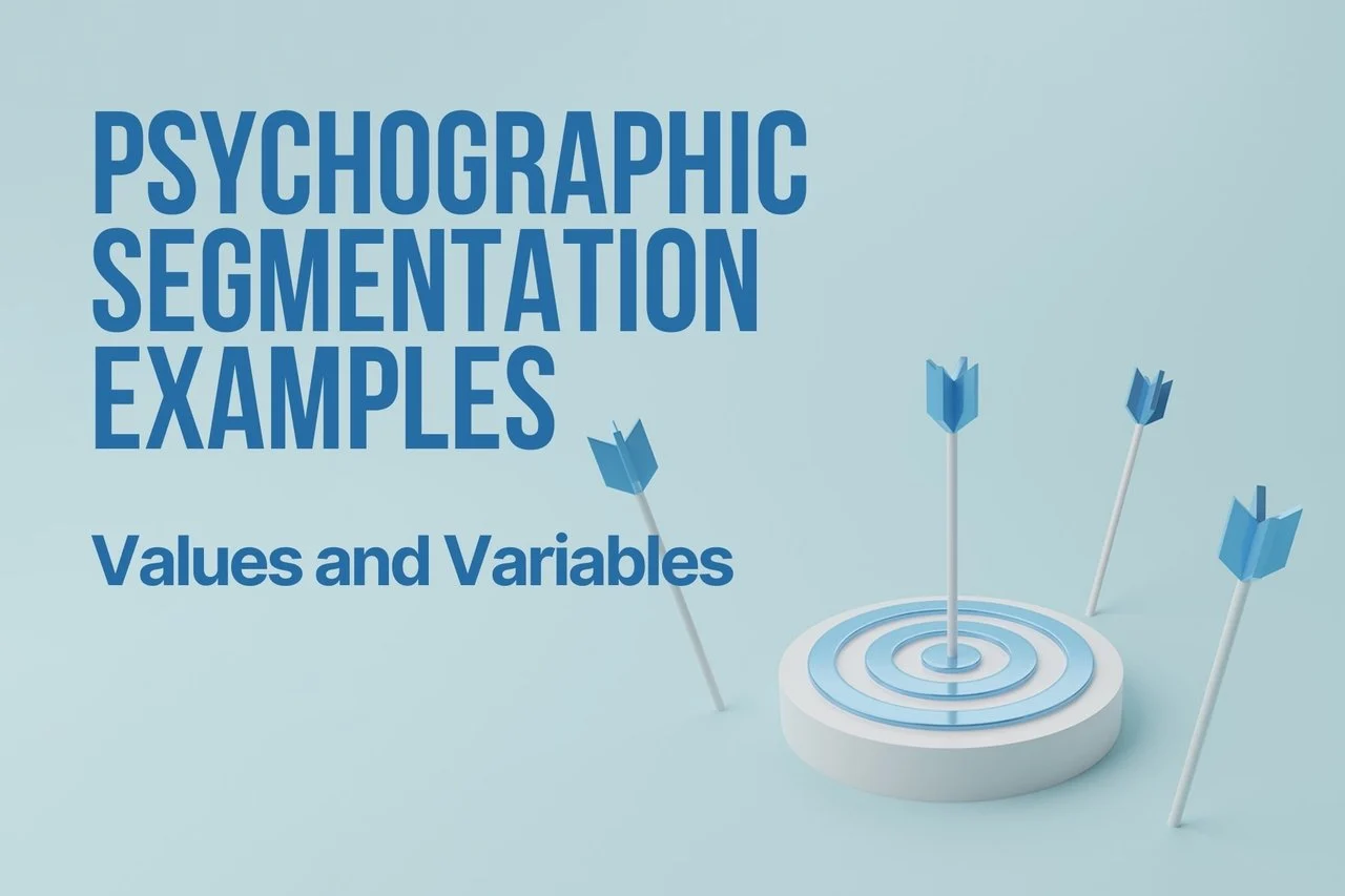 psychographic-segmentation-examples-blog-cover