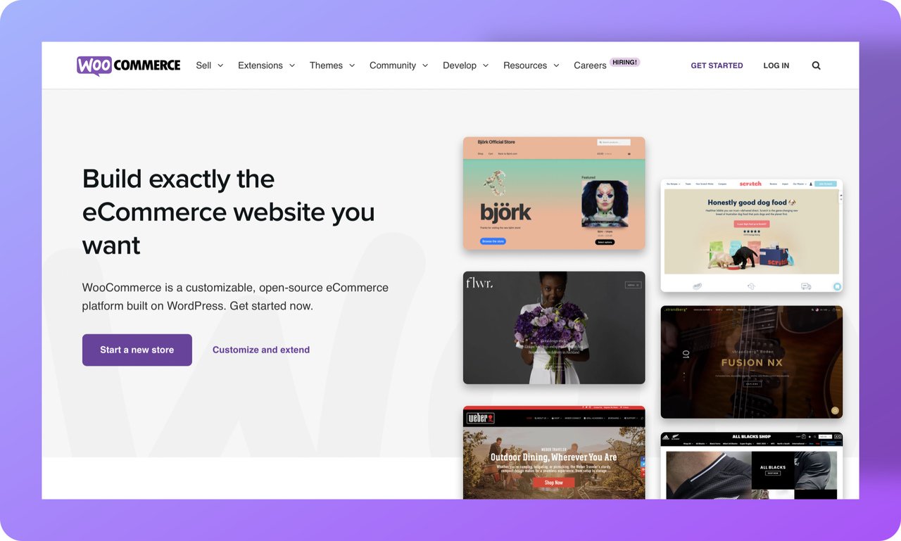 Screenshot of WooCommerce's homepage