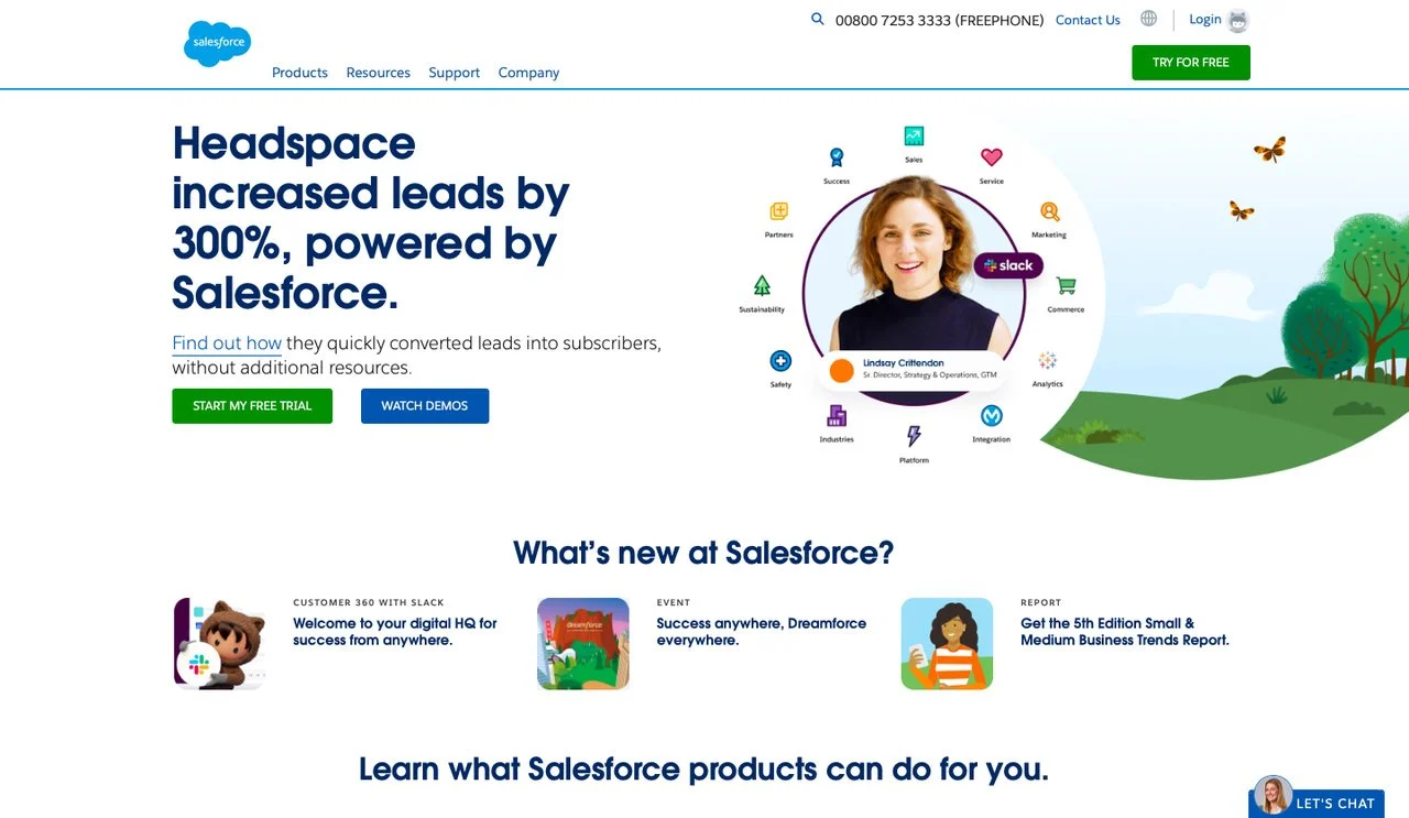 sayfada-bir-kadın-resmi-ve-komut dosyaları-ile-salesforce-web sayfası