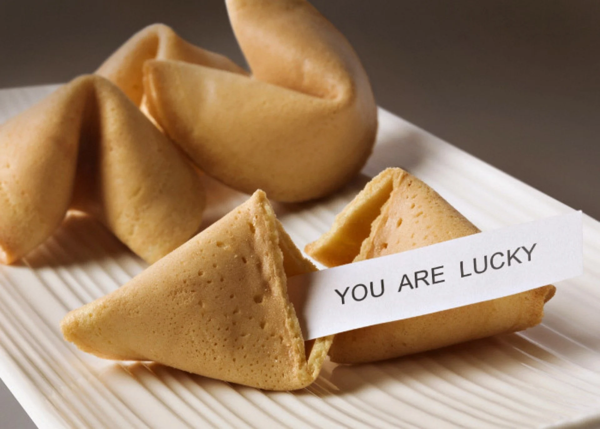 fortune cookie écrit vous avez de la chance