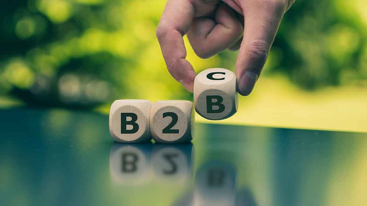 diferença entre b2b e b2c em um dado