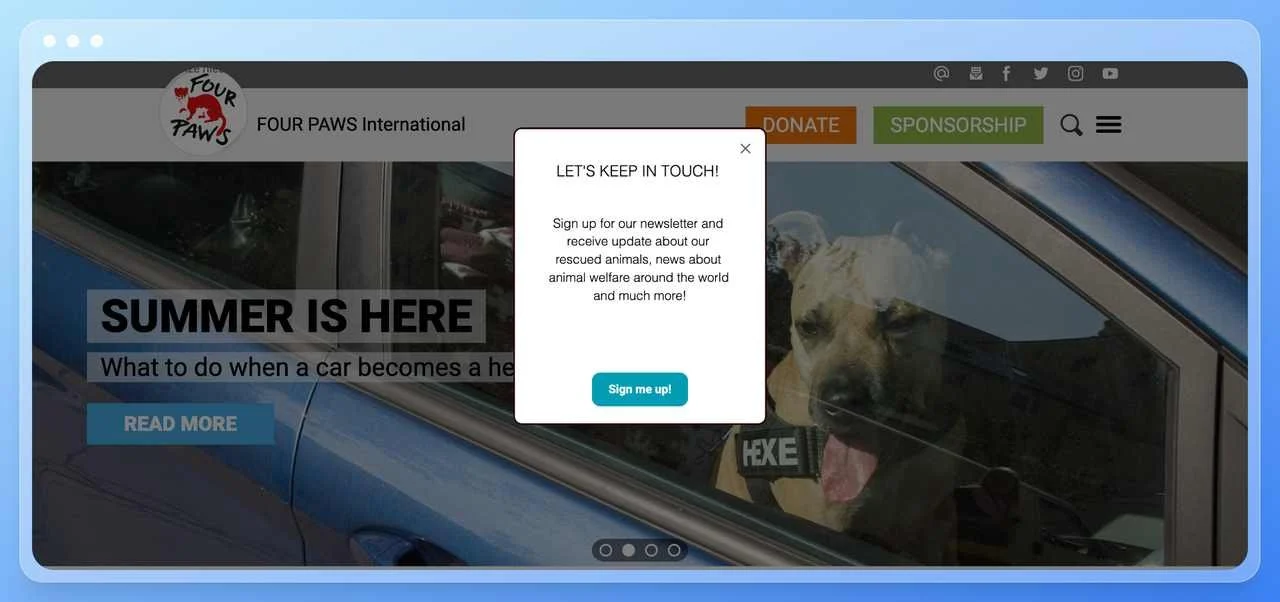 screenshot of Four paws nonprofit website with a exit intent popup that asks the visitor to sign up for the newsletter before leaving the website