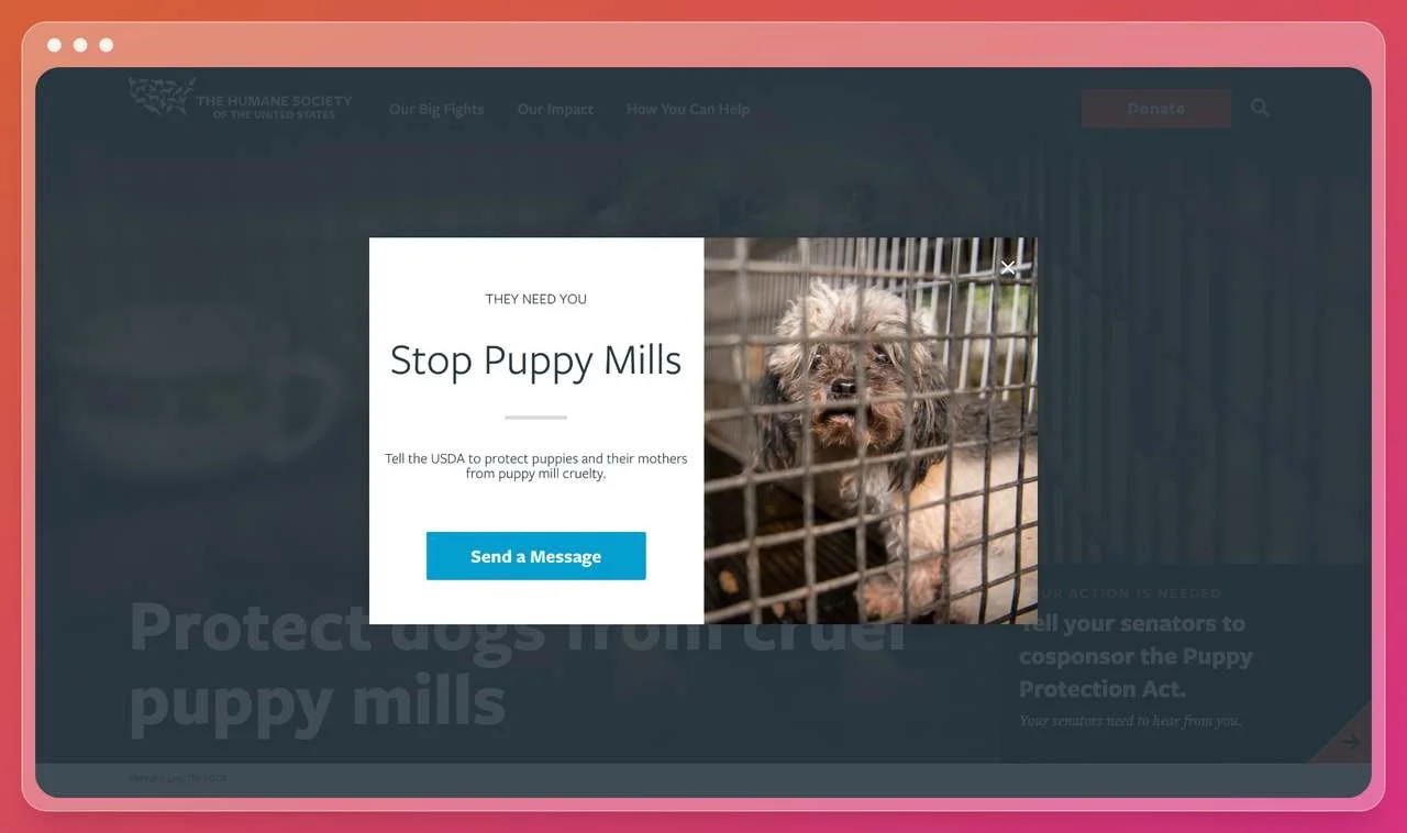 a popup screenshot from the human society of the united state website with a picture of a sad poppy in a cage and a text that asks the visitors to help them stop the poppy mills and tell the USDA to protect puppies with a blue call to action that says send a message