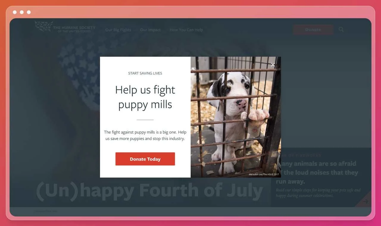 a nonprofit website fighting for animal right screenshot of a popup with the picture of a sad poppy in a cage that asks the visitors to help them fight the poppy mills with an orange calk to action that says "Donate Today"