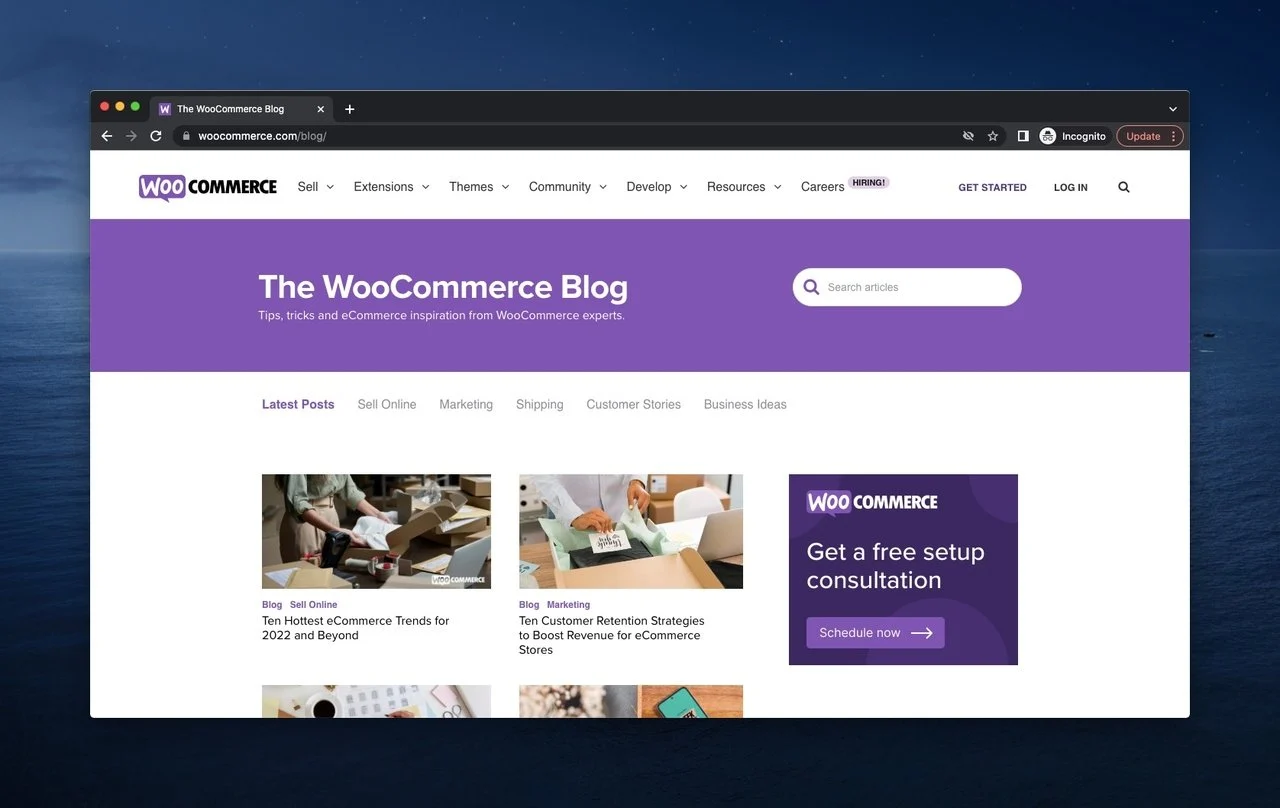 blog woocommerce pada spanduk ungu dan dua artikel serta iklan WooCommerce di bawahnya