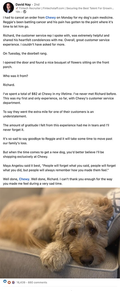 capture d'écran d'un exemple d'examen d'empathie de Chewy, sur LinkedIn